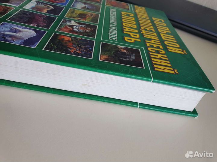 Большой словарь Млекопитающие