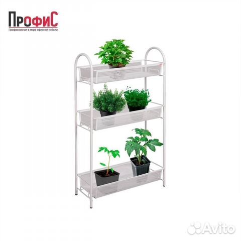 Ладья 13 (цвета)