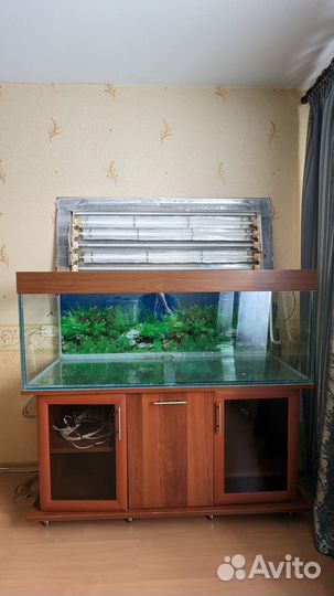 Аквариум на 400 литров