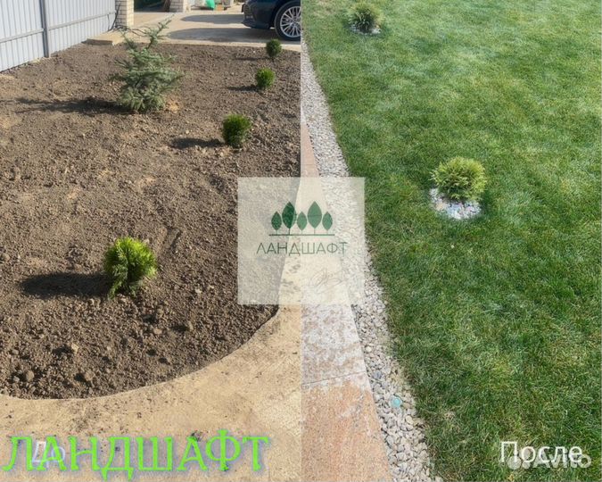 Парковый рулонный газон с укладкой Подольск