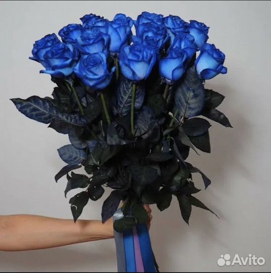 Синии розы