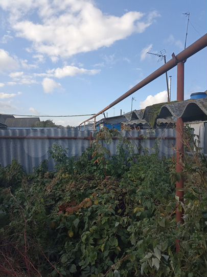 3-к. квартира, 51,1 м², 1/1 эт.