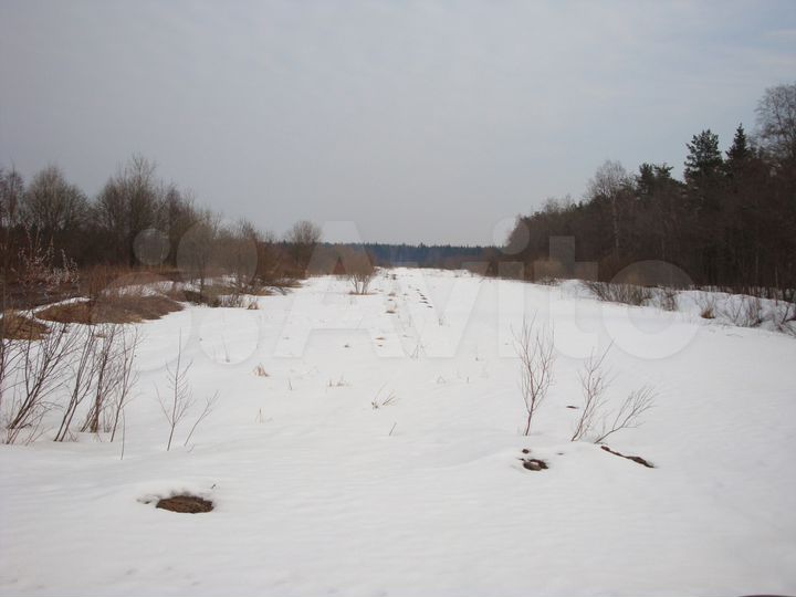 Участок 2,3 га (СНТ, ДНП)