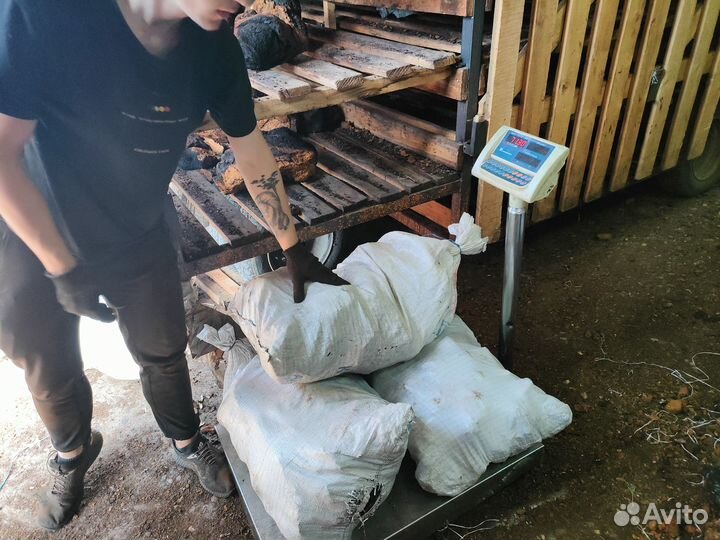 Чага сырая