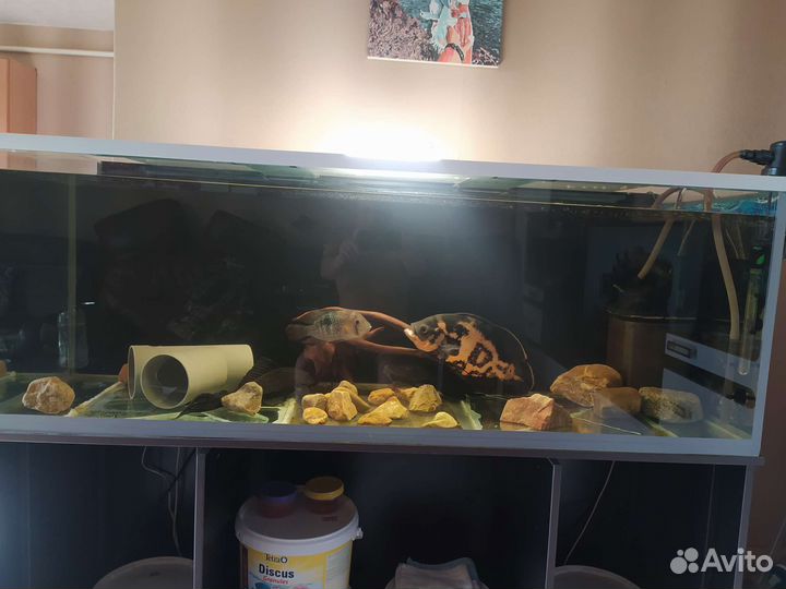 Продам аквариум