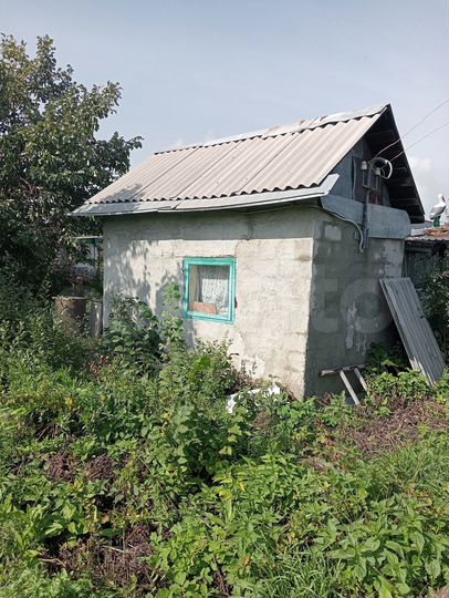 Участок 4 сот. (СНТ, ДНП)