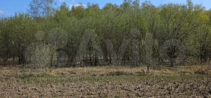 Участок 5 сот. (ИЖС)
