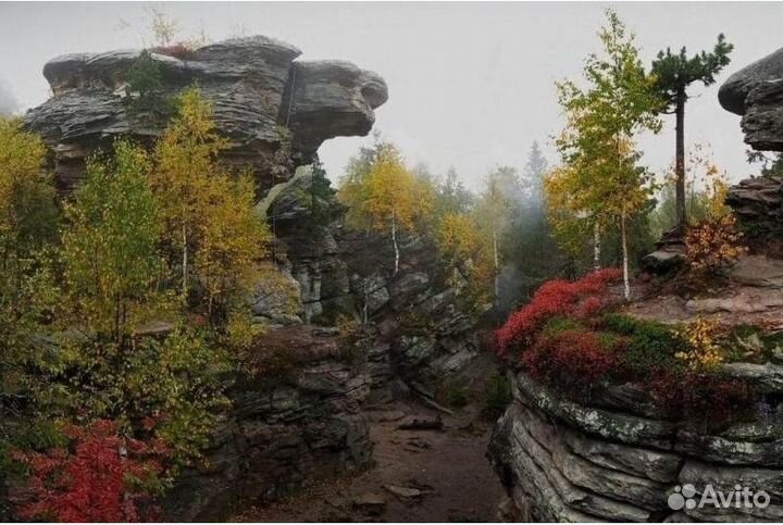 25 ноя23Каменный город и Шумихинские скалы/хп3036