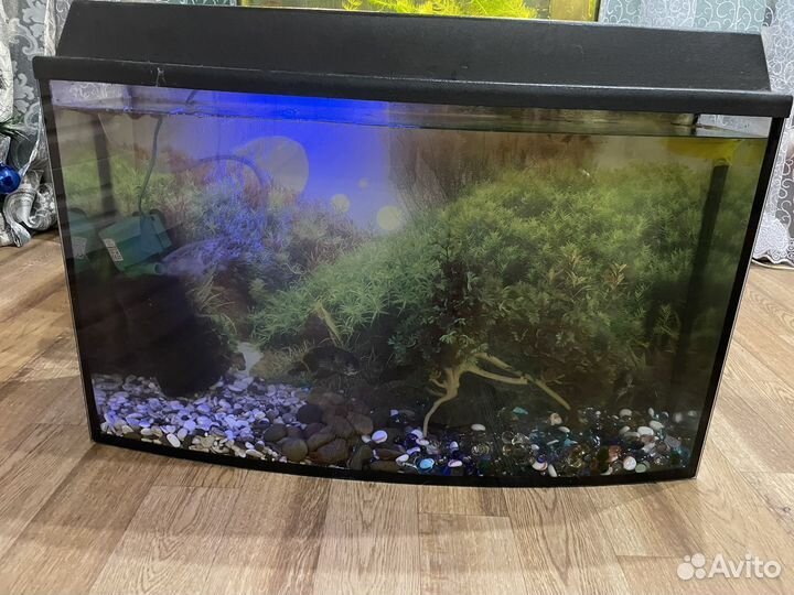 Аквариум