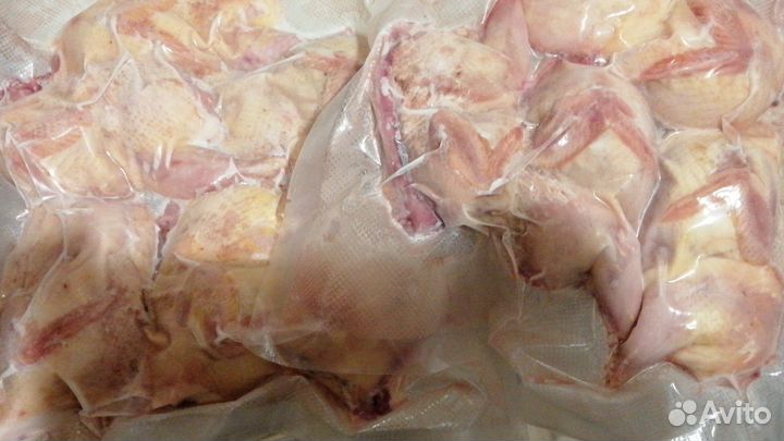 Яйца, мясо перепелов и кур домашие