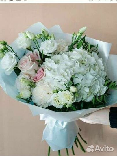 Гортензия. За одну