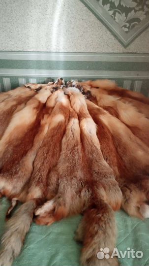 Лисьи шкуры