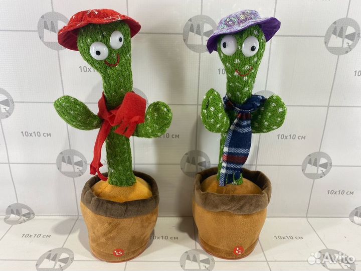 Кактус повторюшка