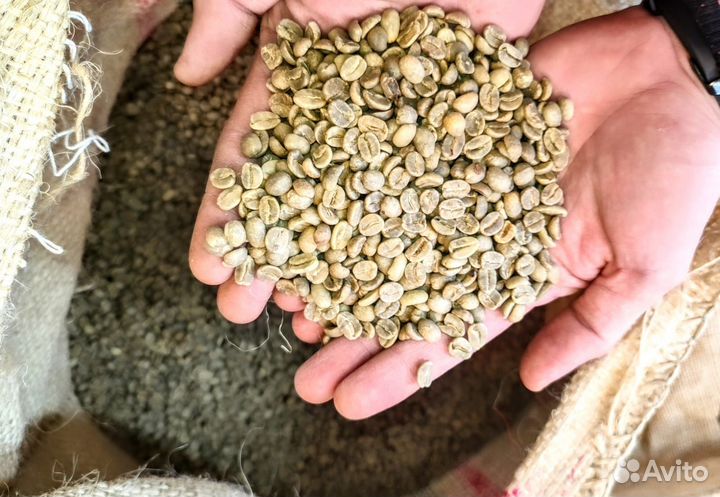 Кофе в зернах зелёный 100кг