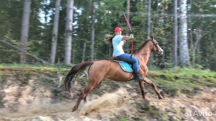 Лошади в аренду