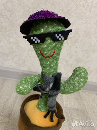 Поющий кактус