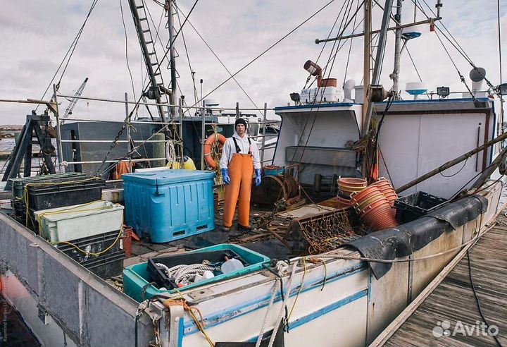 Морские документы оформление с нуля,улм