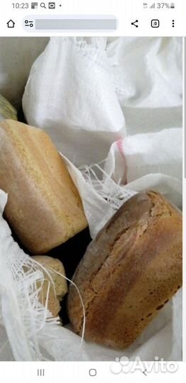 Продукты на корм для животных