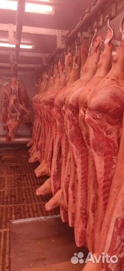 Мясо Свинина / говядина / баранина