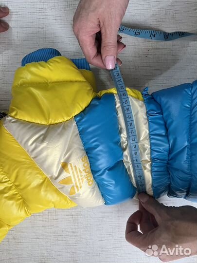 Комбинезон для маленькой собаки (мальчик)