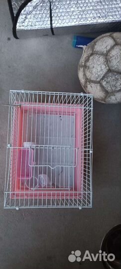 Клетка для хомяка