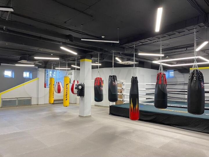 Сдам, ПСН, ремонт, цоколь, Южный, 230 м2