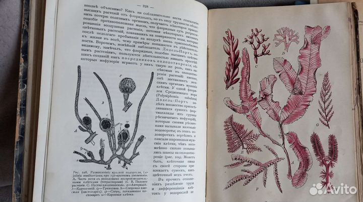 Книги винтаж 1909-1921. К.Штерне