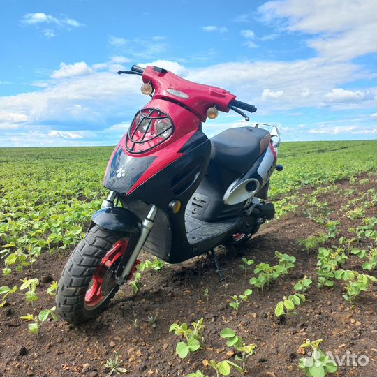 Продам Irbis z50r