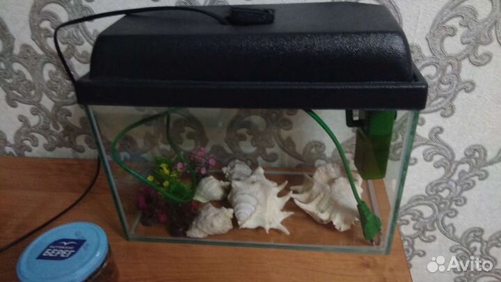 Аквариум 10 литров