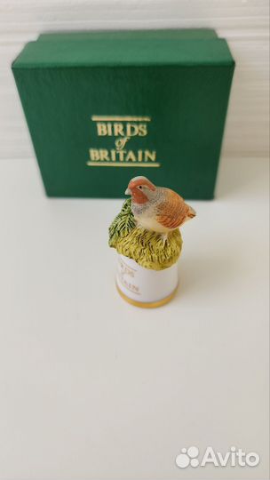 Наперсток птицы Британии