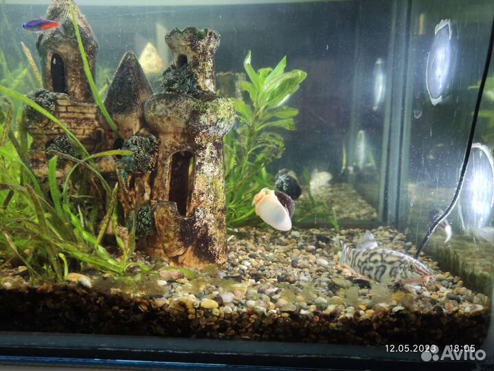 Аквариум