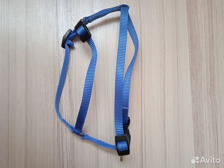 Одежда, шлейка, ошейник для маленьких собак