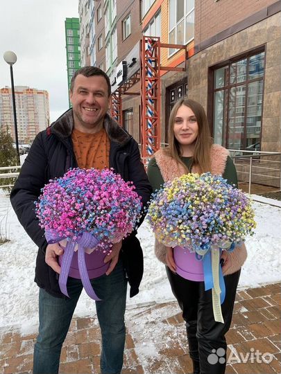 Гипсофила от производителя