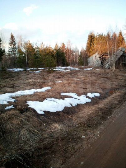 Участок 30 сот. (ИЖС)