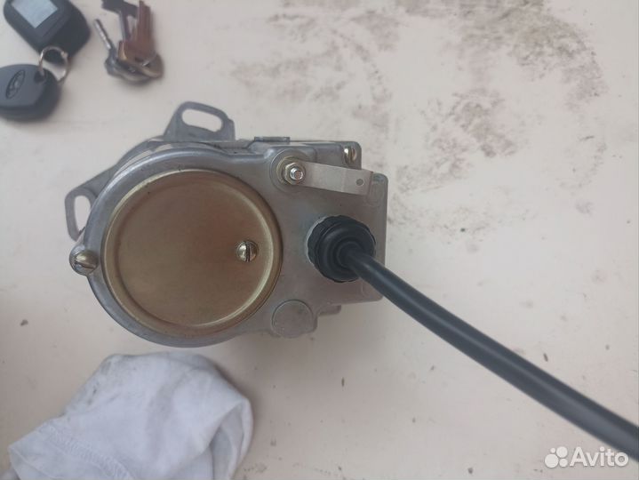 Магнето на муравей