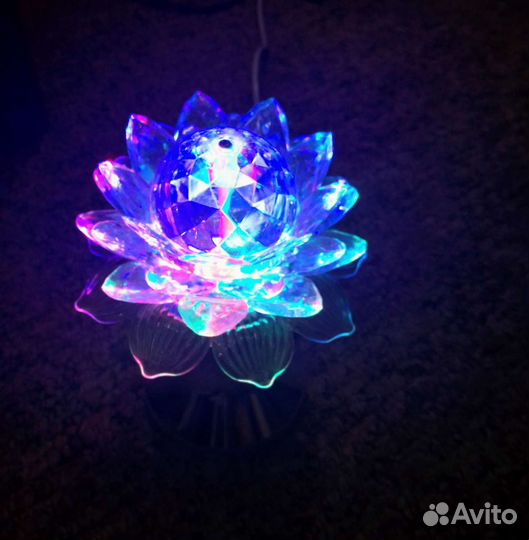 Диско-шар (цветок)