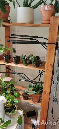 Фитолампы для растений 3 сразу