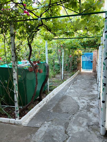 Комната 20 м² в 5-к., 1/1 эт.