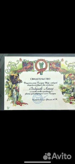 Помощь в открытии кофейни/кафе