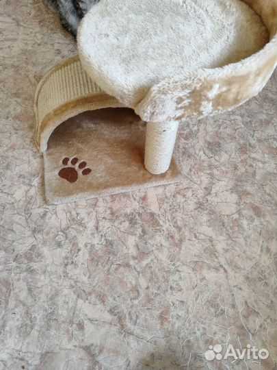 Домик когтеточка для котят до 1 года