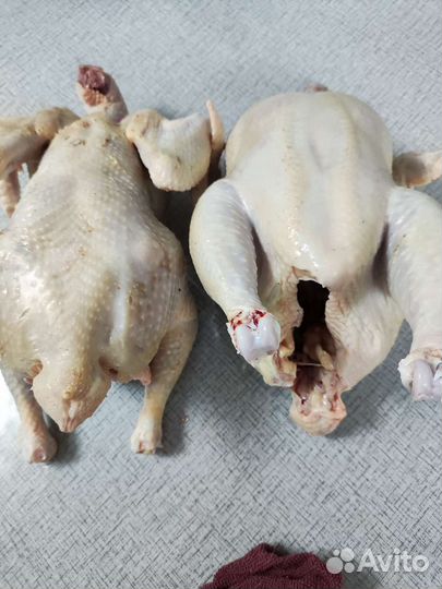 Продукты питания