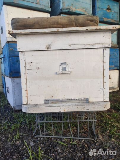 Продам ульи для пчел