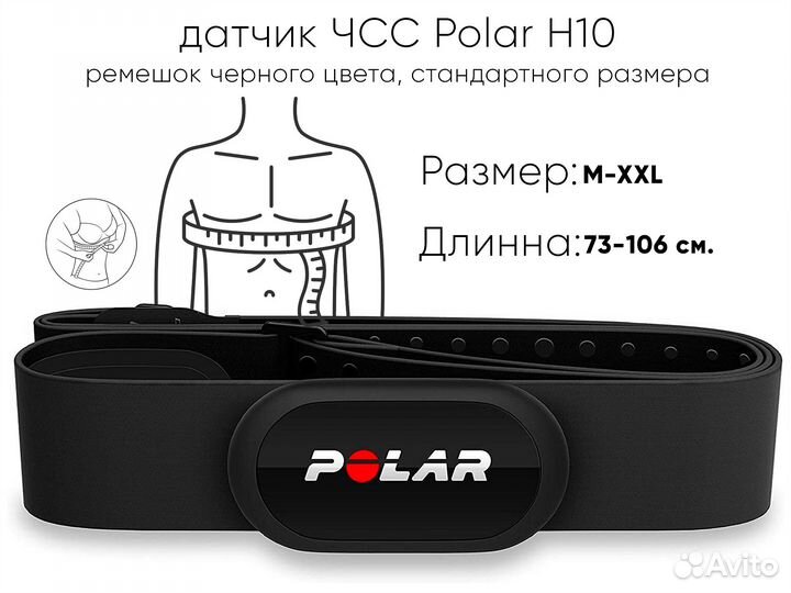 Polar H10