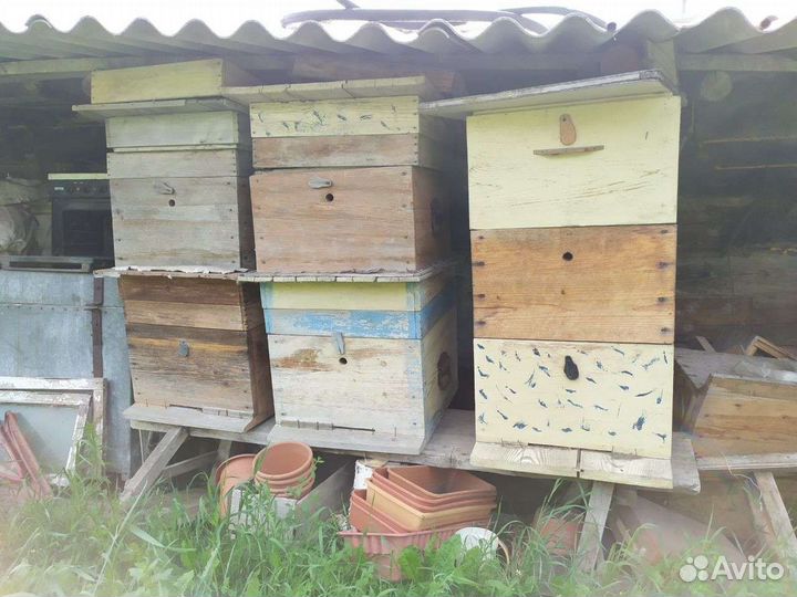 Улей для пчел