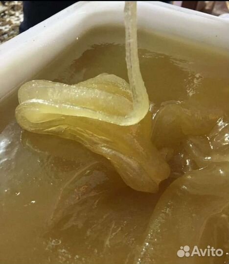 Мед цветочный с доставкой 3л