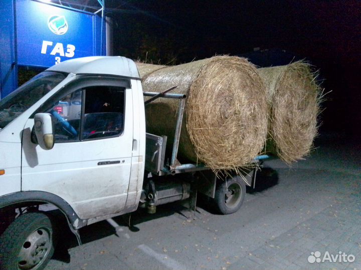 Продам сено в рулонах