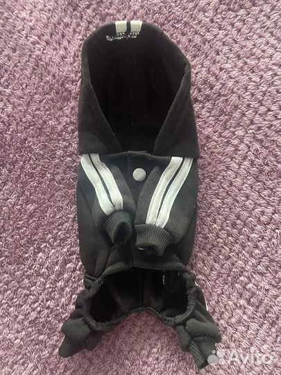 Одежда для маленьких пород собак