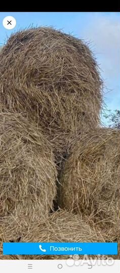 Солома в тюках