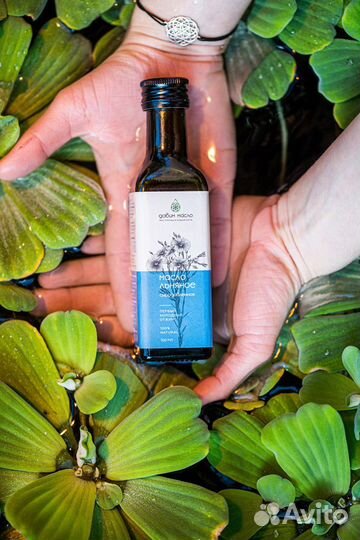 Масло льняное (250 мл, 0.55 кг)