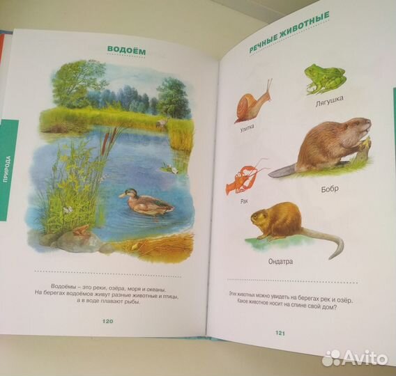 Энциклопедия малыша от 6 мес до 3 л Земцова О.Н